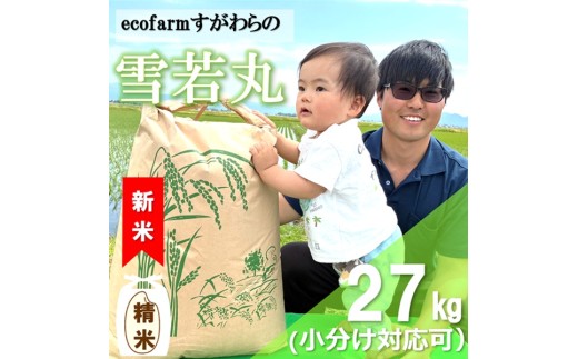【令和8年産・精米】ecofarmすがわらの庄内米雪若丸27kg※10月上旬頃から順次配送