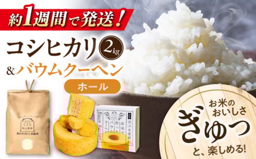 【スピード配送】近江米 コシヒカリ2kg バウムクーヘン1ホール セット 長浜市/阿辻農園[AQAW002] こしひかり 米 お米 白米 バームクーヘン 米粉 菓子 近江米 滋賀県産 魚のゆりかご水田 すぐ すぐ発送 すぐ届く すぐ来る