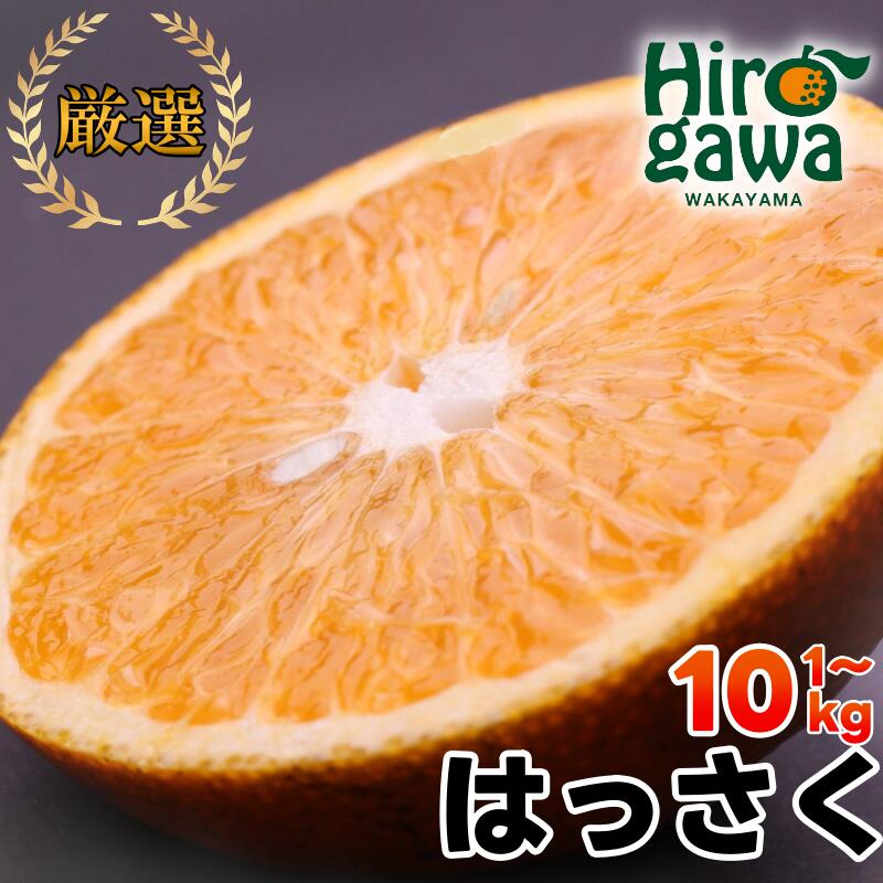 【ふるさと納税】 厳選 はっさく 5000円 7000円 11000円 14000円 ※1月上旬〜4月上旬頃に順次発送予定 ※北海道・沖縄・離島への配送不可 / 八朔 みかん サイズ混合 柑橘 果物 フルーツ 和歌山 紀州 有田 //hassaku