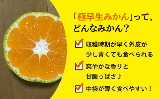みかん 【先行予約】【酸っぱいから甘いへの変化】 極早生みかん （岩崎・上野）約5kg みかん ミカン 柑橘 西海みかん 早生みかん 贈答 ギフト みかん ＜Da・IWASAKI FARM＞ [CCZ