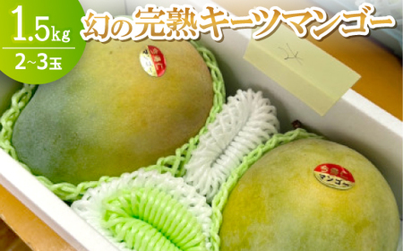 【2025年8月～9月頃の発送】幻の完熟キーツマンゴー1.5kg(2～3玉)【配送不可地域：離島】【1593000】