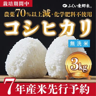 ふるさと納税 福井市 令和7年産 ふくい東郷米 特別栽培米 栽培期間中農薬70%減コシヒカリ 無洗米3kg×1袋【真空袋】