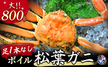 訳あり足１本なしボイル松葉ガニ（大800g）訳あり かに カニ 蟹 訳ありボイル 新鮮 かに カニ 蟹 松葉ガニ 松葉がに かに カニ 蟹 ボイル訳あり かに 松葉がに ズワイガニ カニ爪 冷蔵 ずわいがに 国産 わけあり 足かけ 足欠け 鮮度抜群 鳥取県 倉吉市【魚倉】