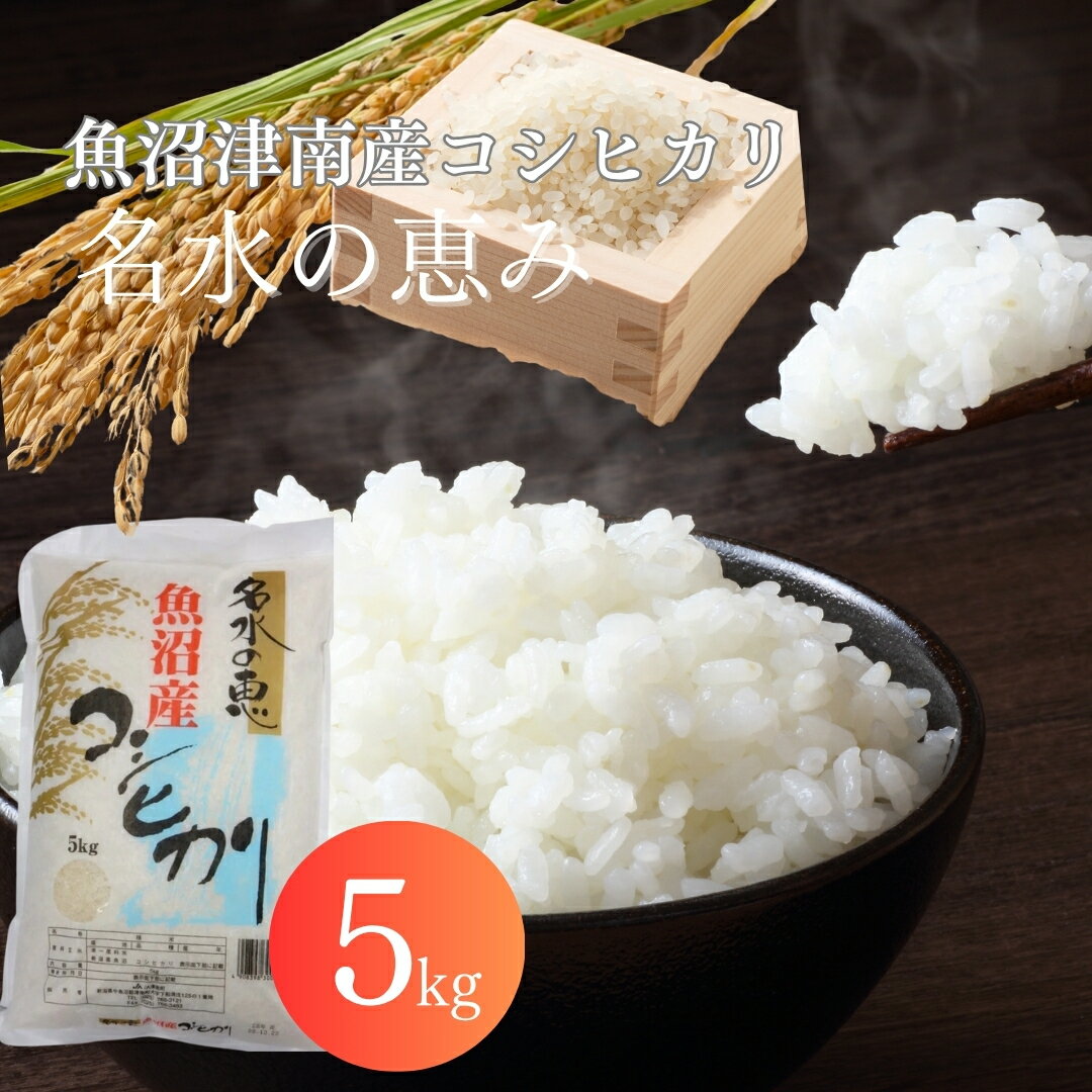 【ふるさと納税】【2025年産新米】魚沼津南産コシヒカリ「名水の恵」5kg 先行予約 新潟県 魚沼産 津南町