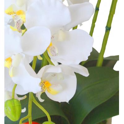 ふるさと納税 川越市 胡蝶蘭 造花 常滑産陶製鉢に入ったシルクフラワーの胡蝶蘭の鉢植 5本立 CT触媒 ホワイトイエロー |  | 01