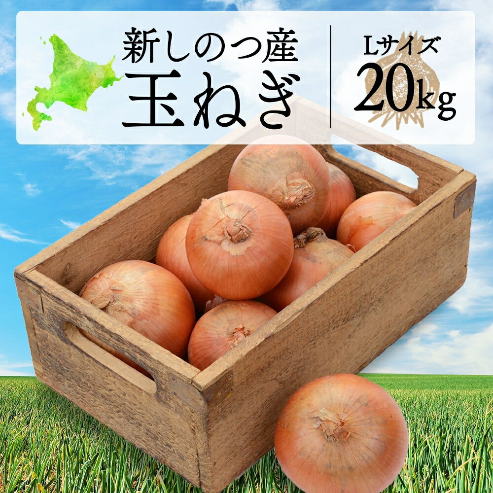 【ふるさと納税】北海道 新しのつ産 玉ねぎ Lサイズ 約20kg オホーツク222 北もみじ2000 玉葱 たまねぎ タマネギ オニオン 旬 農作物 野菜 サラダ カレー 肉じゃが 長期保存 送料無料 　お届け：8月下旬～1月下旬