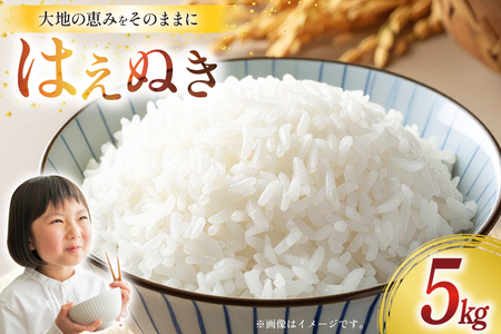 令和7年産 慣行栽培 はえぬき 5kg [田制農園 山形県 高畠町 tk06ayt230006]