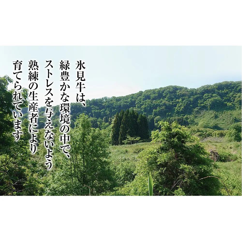 A4ランク以上！氷見牛のももを使ったサイコロステーキ580g〈冷凍〉| 和牛 ブランド牛 サイコロステーキ