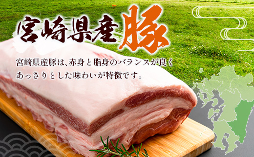宮崎県産 豚バラエティーセット 合計3kg 人気 小分け 食べ比べ ボリューム 冷凍 国産 豚肉 ※ご入金月の翌月中に出荷【B691】