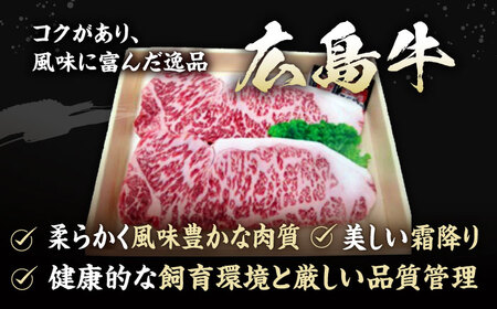 【全2回定期便】広島牛 サーロイン ステーキ用 400g （200g×2枚） 三次市 / 広島三次ワイナリー[APAZ081]