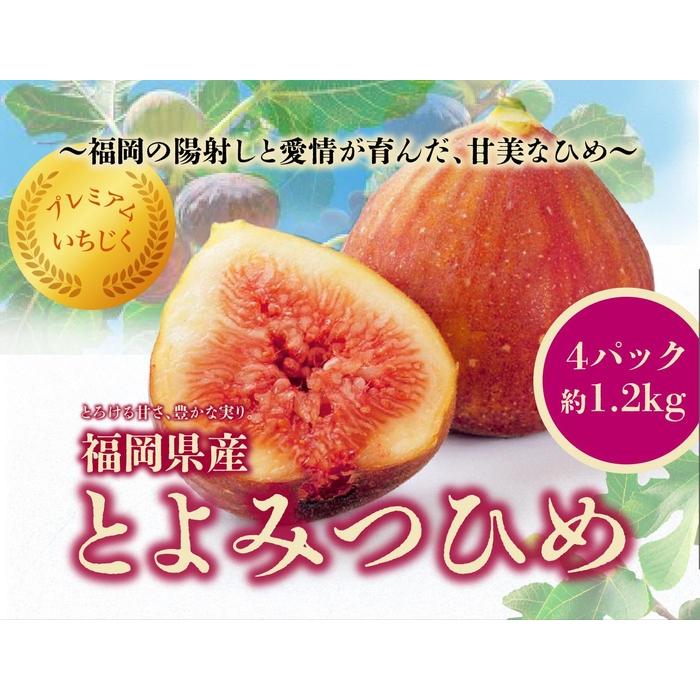 【ふるさと納税】とよみつひめ　4パック約1200gセット | フルーツ 果物 くだもの 食品 人気 おすすめ 送料無料