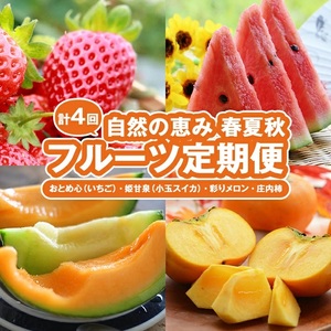 SE0506　【4回定期便】自然の恵み　季節のフルーツ定期便2026(3) (いちご、小玉スイカ、彩りメロン、庄内柿)