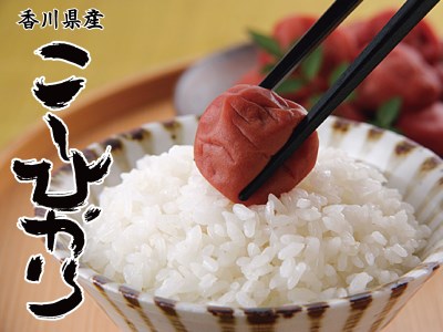 香川県産｢コシヒカリ｣ １2㎏（2kg?6袋）／２０２３年産