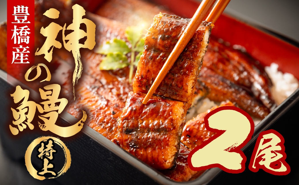 
                  うなぎの新ブランド、開幕。『神の鰻』2尾 国産 特上 選べる お届け時期 鰻 うなぎ unagi ウナギ 蒲焼 長蒲焼 国産うなぎ 上 特上 贈答 ギフト お歳暮 プレゼント お祝い 誕生日 土用の丑の日 愛知県 豊橋市
                