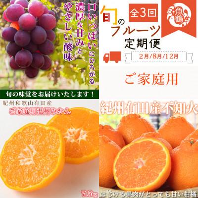 ふるさと納税 有田川町 【発送月固定定期便】紀州和歌山産旬のご家庭用フルーツセット(巨峰・みかん・不知火)全3回