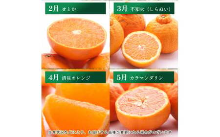 【4～6月】柑橘 定期便 M 家庭用【全3回】【和歌山】 ※北海道・沖縄・離島への配送不可 / 定期便 フルーツ はっさく せとか 不知火 清見オレンジ カラマンダリン みかんゼリー ハウスみかん ゆ