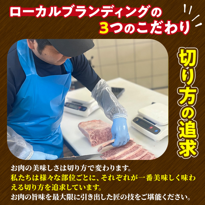 宮崎牛 カルビ焼肉(500g) 牛肉 肉 ブランド牛  冷凍 国産 精肉 お取り寄せ 黒毛和牛 宮崎県 【LJ010】【レグセントジョイラー株式会社】