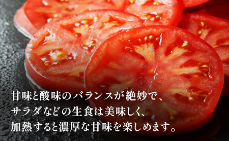 トマト 静岡県産 大玉トマト 約2kg 野菜 とまと Dトレイ栽培方式 果肉 甘味 酸味 濃厚 島田市 静岡県