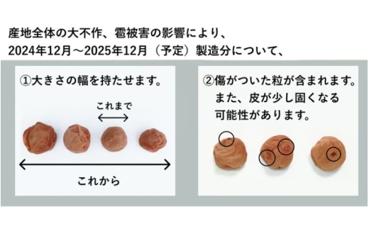 【常温保管可能 】天日塩と紫蘇だけで漬けた無添加梅干し2kg(塩分15％)／南高梅 【umehkr003A】