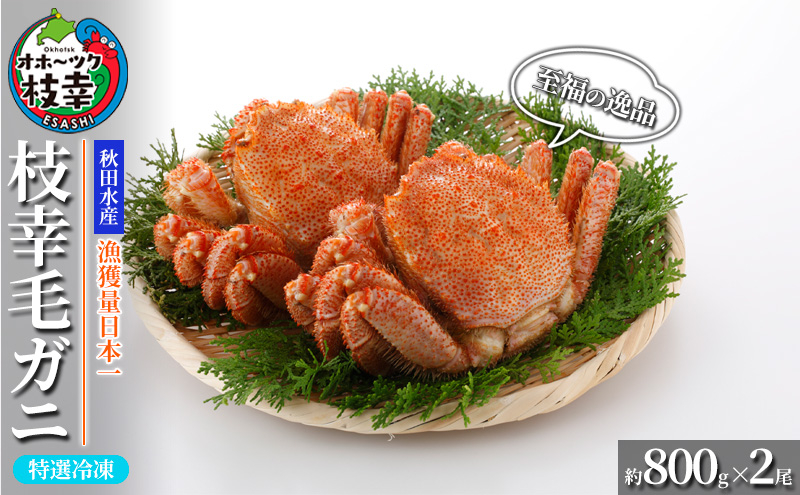 
            【漁獲量日本一】至福の逸品！特選冷凍「枝幸毛がに」約800g×2尾 毛蟹 毛ガニ オホーツク 北海道
          