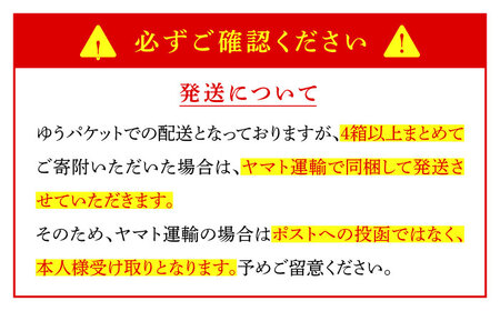 【長崎本場の味】スープ付 ちゃんぽん 30食 (2人前×15袋) / 南島原市 / こじま製麺[SAZ028]