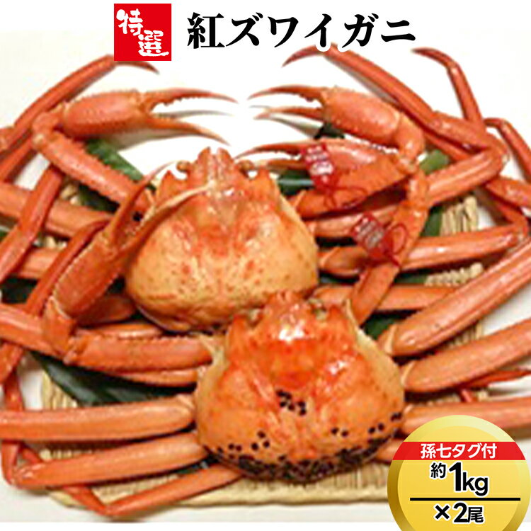 【ふるさと納税】【特選】紅ズワイガニ約1kg×2尾（孫七タグ付）　ずわい蟹 ずわいガニ ズワイガニ 紅ズワイガニ ※2026年9月～発送