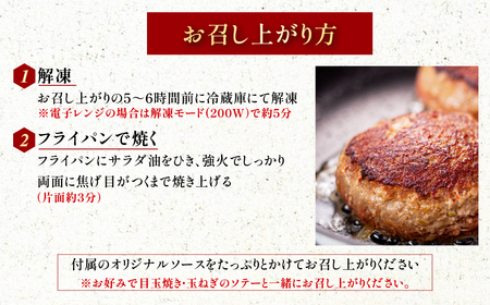 ユッチャン　タンバーグ（200g）4個 FCEO007