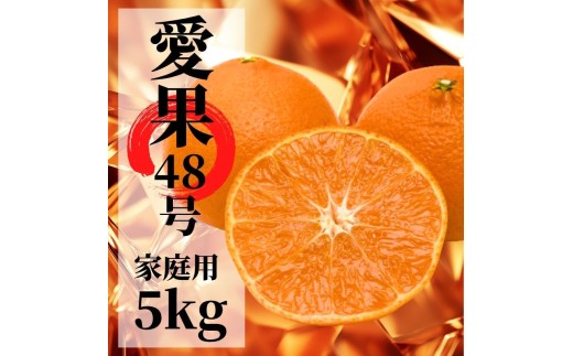 【2027年2月下旬頃から順次発送】愛果48号　家庭用 約5kg  | 愛媛 愛媛県産みかん 蜜柑 ミカン mikan みかん あいか  柑橘 お取り寄せ グルメ 期間限定 数量限定 あまい甘い 果物 旬  美味しい  愛媛県 松山市