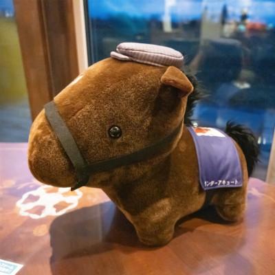 ふるさと納税 平取町 【競馬グッズ】【ワンダーアキュート】特大ぬいぐるみ　画伯バージョン
