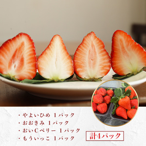 E014 ひかりの苺 （ルビー）4品種セット 1kg 2026年1月から4品種そろい次第順次発送 1000g やよいひめ おおきみ おいCベリー もういっこ イチゴ いちご 4パック 詰め合わせ 食べ