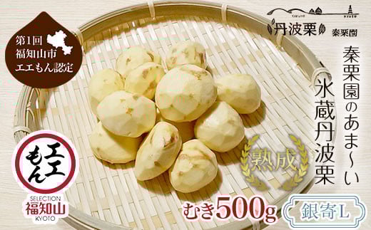 【先行予約11月中旬発送】秦栗園のあま～い氷蔵丹波栗 銀寄L むき500g【第1回福知山市ええもん認定】【熟成】  ふるさと納税 栗 くり 人気 和 スイーツ 高級 和菓子 栗菓子 ギフト プレゼント お取り寄せ グルメ 京都府 福知山市　※沖縄・離島配送不可