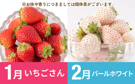 【R8年1月以降発送】【先行予約】【全10回定期便】赤白いちご4種と佐賀産和牛のセット / いちご 牛肉[IZZ024]