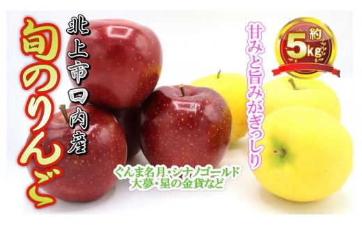 予約受付 10月上旬～発送予定  完熟りんご(セット) 約5kg サンふじ ＆ 旬の りんごセット（ぐんま名月 シナノゴールド 大夢 星の金貨 など）完熟 金成園 たっぷり 岩手県 北上市 D0058