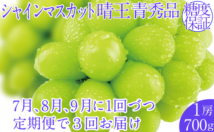 2026年予約受付中【3回定期便】シャインマスカット晴王1房 約700g 7月8月9月に出荷  人気 岡山県産 種無し 皮ごと食べる みずみずしい   おかやま 果物大国 ハレノフルーツ