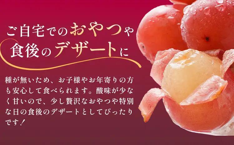 クイーンニーナ1房《8月下旬-9月下旬頃出荷予定》ぶどう果物フルーツ贈り物お取り寄せフルーツ 【配送不可地域あり】(離島)