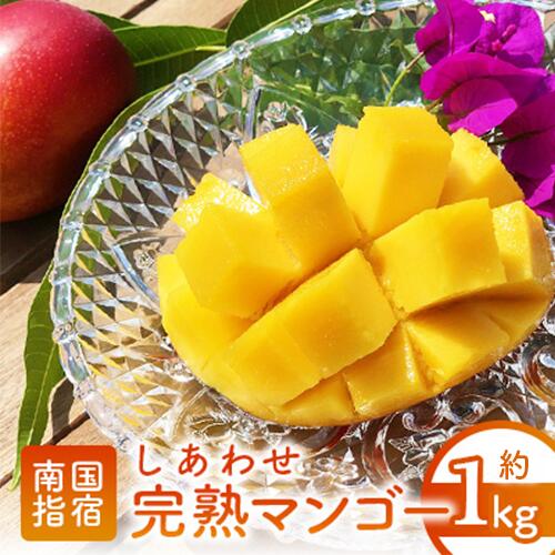 【ふるさと納税】＜先行予約受付中！2025年7月上旬以降順次発送＞指宿産しあわせ完熟マンゴー(約900g〜1kg・2〜3玉) 国産 南国 指宿産 鹿児島 アップルマンゴー マンゴー 果物 くだもの フルーツ 完熟 産地直送 お取り寄せ 夏 ギフト 贈答用【マンゴーの森】