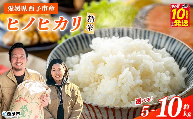 
                  ＜令和7年産 西予市産 ヒノヒカリ 精米 約5kg/10kg＞ 選べる 内容量 ひのひかり お米 米 コメ こめ 白米 国産米 単一原料米 ご飯 5キロ 10キロ お弁当 雑穀 特産品 愛媛県産 株式会社宇都宮米穀 愛媛県 西予市【常温】『最短10営業日以内に順次出荷予定』
                