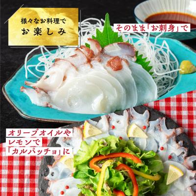 ふるさと納税 紋別市 水だこ太足 小分け真空パック約3kg★ |  | 03