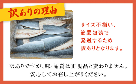 【3月配送】さば 〈 訳あり 〉 宮城県産 寒さば フィーレ 無塩 1.5kg 冷凍　魚 青魚 鯖 切身 焼魚 煮魚 わけあり 不揃い ご家庭用 食塩無添加 国産 鯖フィレ サバフィーレ 切り身 バラ