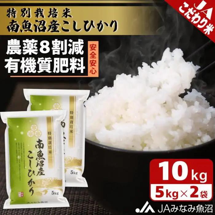 【令和8年＼新米／】特別栽培米南魚沼産こしひかり8割減 10kg 精米 ｜こしひかり