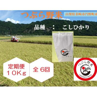 ふるさと納税 韮崎市 【毎月定期便】つぶら野米(品種:コシヒカリ) 白米10kg 定期6ヶ月(計60kg)全6回