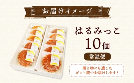 焼菓子 グルテンフリー はるみっこ 10個 焼菓子