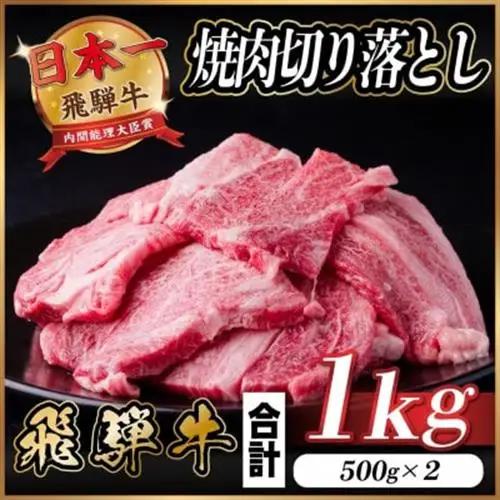 飛騨牛 焼肉 切り落とし 約1kg(約500g×2)訳あり【冷蔵便】_肉 焼肉 牛肉 やきにく ヤキニク バーベキュー_【配送不可地域：離島】【1543362】