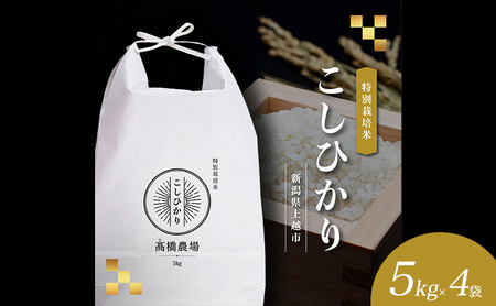 【新潟県上越市産】特別栽培米 コシヒカリ 令和7年産 20kg（5kg×4袋）ご飯 おにぎり