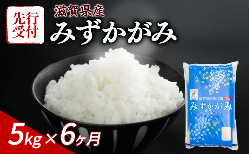
                  【令和8年産】 先行予約 新米 みずかがみ 5kg 6ヶ月定期便 令和8年産 米 こめ ご飯 米 定期便 6回定期便 6か月定期便 6回 6か月 5キロ 令和8年 滋賀 彦根
                