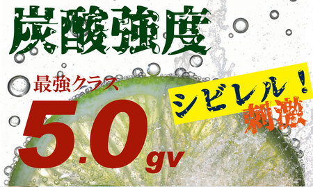 【定期便】（年/隔月）強炭酸水（500ml）2ケース（48本入り）×6回 水・ミネラルウォーター Q077-002