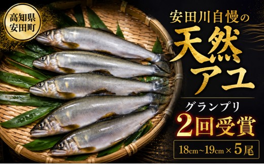 グランプリ2回!  安田川の清流で採れた天然鮎 グランプリ受賞 天然 鮎 あゆ 5匹 数量限定 魚 魚介 冷凍 こだわり アユの塩焼き 塩焼き しお焼き 天ぷら 寿司 すし 姿寿司 甘露煮 おせち バーベキュー 晩酌 炊き込みご飯 一夜干し お歳暮 贈答 人気 年末年始 クリスマス プレゼント 安田川 高知県 安田町 AJ0001_26