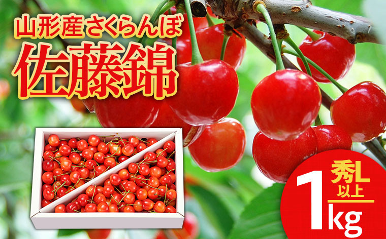 
                  山形のさくらんぼ 佐藤錦 1kg Lサイズ以上 バラ詰 【令和9年産先行予約】FS25-513 くだもの 果物 フルーツ 山形 山形県 山形市 2026年産
                