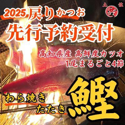 ふるさと納税 東洋町 先行予約受付中!2025戻りガツオわら焼きたたき 4節