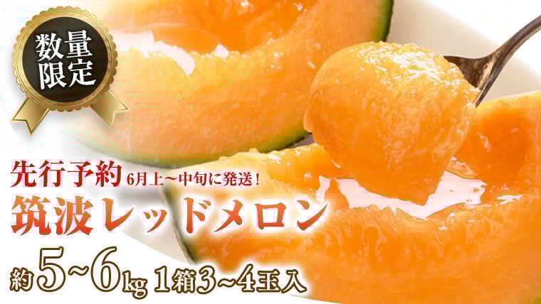 
            筑波レッドメロン 1箱 3玉 ～ 4玉 入り（ 約 5kg ～ 6kg ）【2026年6月上旬以降発送】 赤肉　数量限定 メロン レッド  赤肉 甘い 先行予約 先行受付 期間限定 産地直送 果物 フルーツ [BU002ya]
          